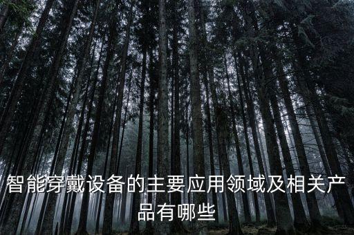 智能穿戴設(shè)備的主要應(yīng)用領(lǐng)域及相關(guān)產(chǎn)品有哪些