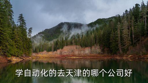 學(xué)自動化的去天津的哪個公司好