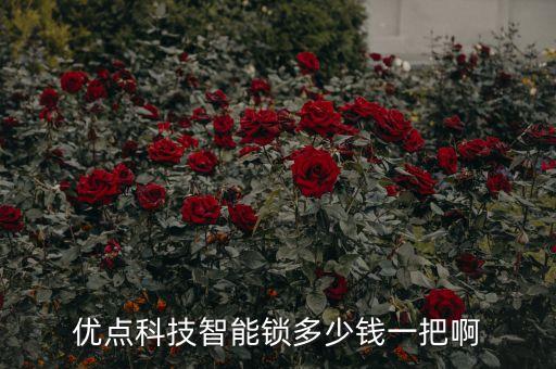 優(yōu)點科技智能鎖多少錢一把啊