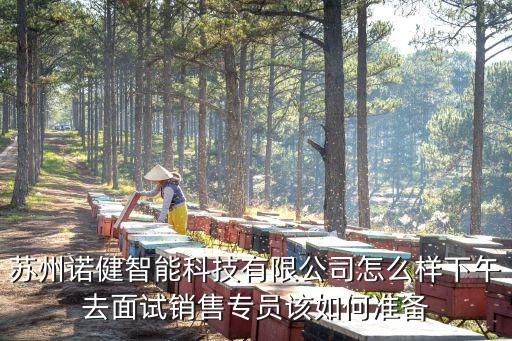 蘇州諾健智能科技有限公司怎么樣下午去面試銷售專員該如何準(zhǔn)備
