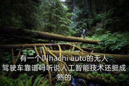 有一個(gè)叫hachi auto的無人駕駛車靠譜嗎聽說人工智能技術(shù)還挺成熟的