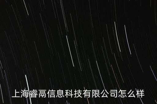 上海睿鬲信息科技有限公司怎么樣