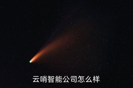 云哨智能公司怎么樣