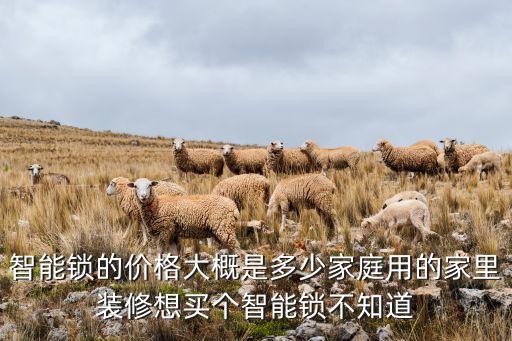 匠云科技安裝智能鎖多少錢一把，智能鎖的價(jià)格大概是多少家庭用的家里裝修想買個(gè)智能鎖不知道