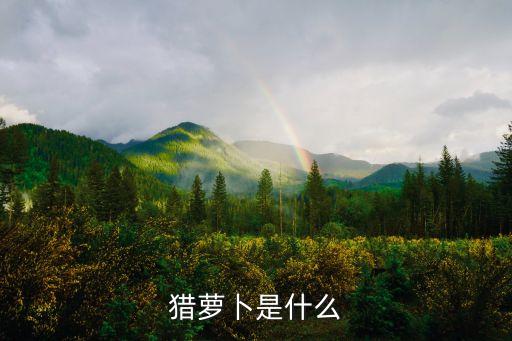 獵蘿卜是什么