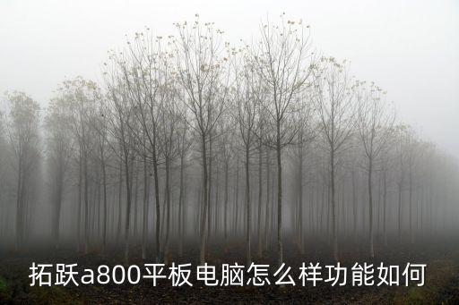 拓躍a800平板電腦怎么樣功能如何
