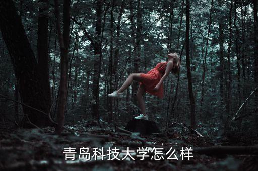 青島科技大學(xué)怎么樣