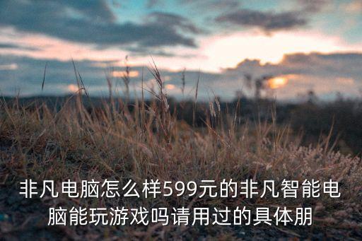非凡智能科技怎么樣，非凡電腦怎么樣599元的非凡智能電腦能玩游戲嗎請用過的具體朋
