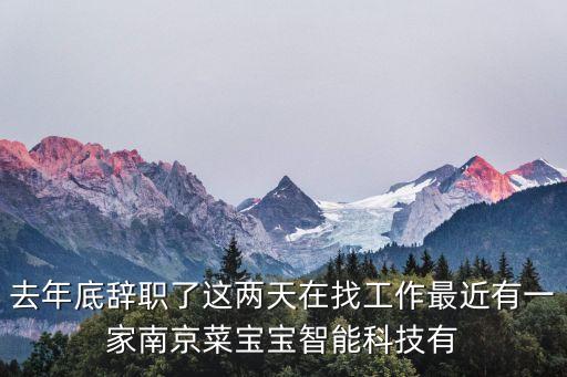 去年底辭職了這兩天在找工作最近有一家南京菜寶寶智能科技有