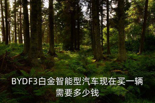 智能科技汽車多少錢一輛，BYDF3白金智能型汽車現(xiàn)在買一輛需要多少錢