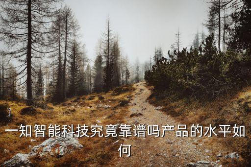 一知智能科技究竟靠譜嗎產(chǎn)品的水平如何