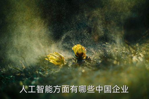 智能科技國內(nèi)有哪些公司，人工智能方面有哪些中國企業(yè)