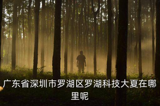 羅湖智能科技園地址在哪里，羅湖怎么去南頭關口二路智恒產業(yè)園