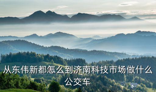 從東偉新都怎么到濟南科技市場做什么公交車