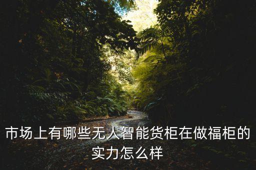 科技智能集裝箱系統(tǒng)有哪些，市場上有哪些無人智能貨柜在做福柜的實力怎么樣