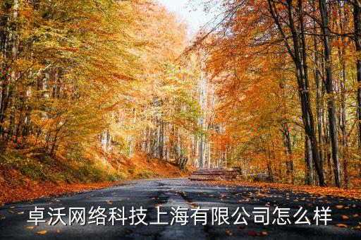 卓沃網(wǎng)絡(luò)科技上海有限公司怎么樣