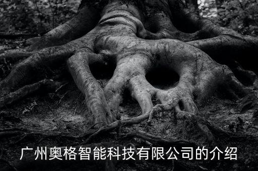 廈門奧格智能科技怎么樣，廣州奧格智能科技有限公司的介紹