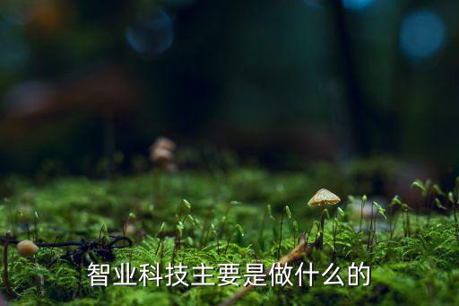 智業(yè)科技主要是做什么的