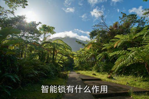 智能門鎖黑科技有哪些，箭牌智能鎖最新的產(chǎn)品是哪一款