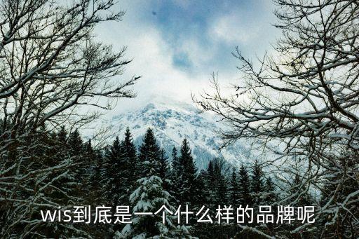 wis到底是一個什么樣的品牌呢