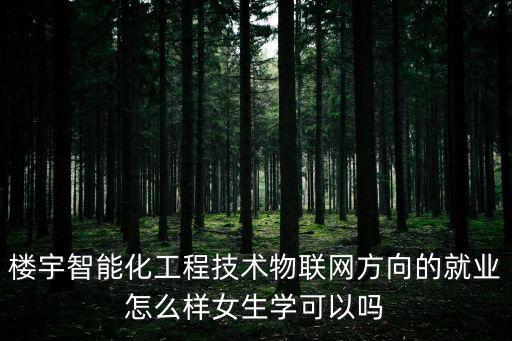 樓宇智能化工程技術(shù)物聯(lián)網(wǎng)方向的就業(yè)怎么樣女生學(xué)可以嗎