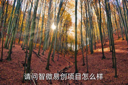 易創(chuàng)智能科技怎么樣，易寶智能科技怎么樣值不值得合作