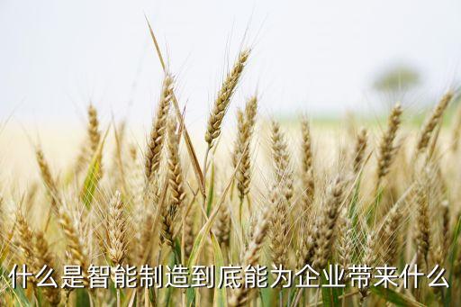 什么是智能制造到底能為企業(yè)帶來什么