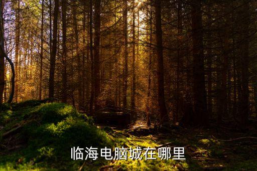 臨海電腦城在哪里