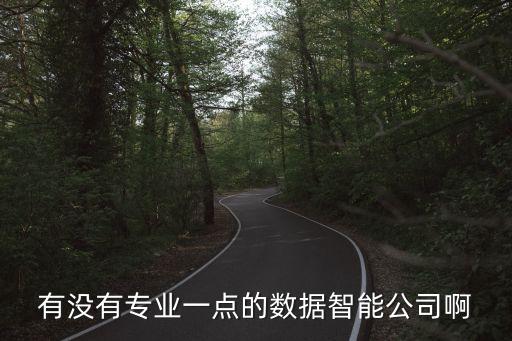 智能科技數(shù)據(jù)服務(wù)商有哪些，有沒有專業(yè)一點(diǎn)的數(shù)據(jù)智能公司啊