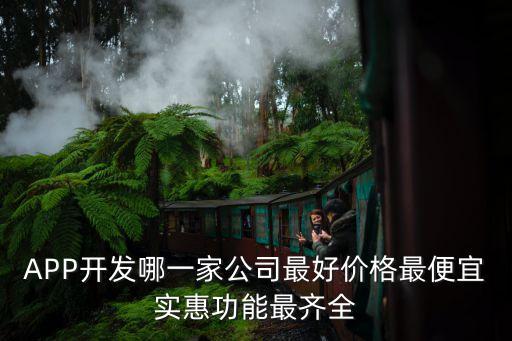 APP開(kāi)發(fā)哪一家公司最好價(jià)格最便宜實(shí)惠功能最齊全