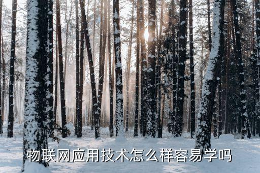 物聯(lián)網(wǎng)應(yīng)用技術(shù)怎么樣容易學(xué)嗎