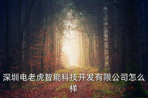深圳電老虎智能科技開發(fā)有限公司怎么樣