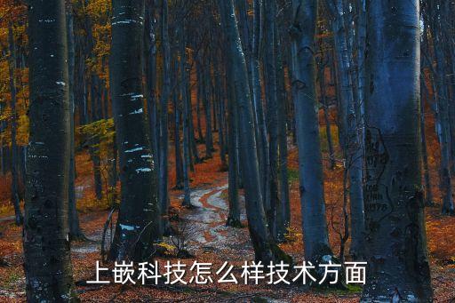 上嵌科技怎么樣技術(shù)方面