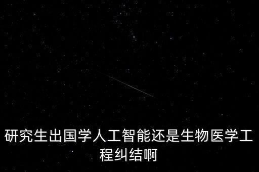 研究生出國學(xué)人工智能還是生物醫(yī)學(xué)工程糾結(jié)啊