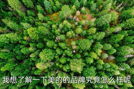 我想了解一下美的的品牌究竟怎么樣呢