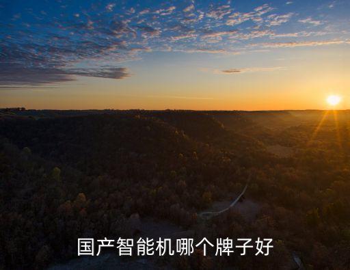 國產(chǎn)智能機(jī)哪個牌子好