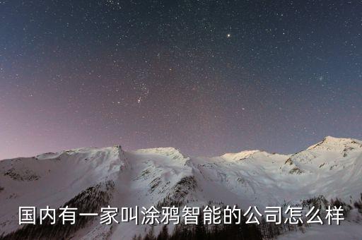 國內(nèi)有一家叫涂鴉智能的公司怎么樣