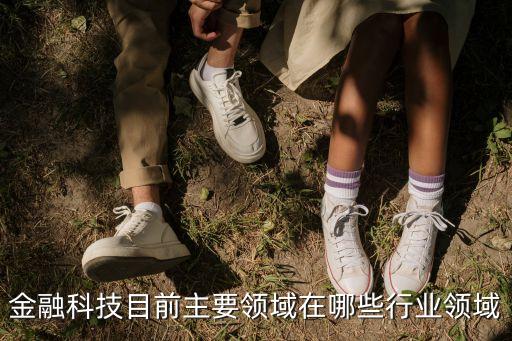 金融科技目前主要領域在哪些行業(yè)領域