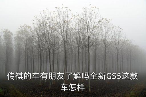 傳祺的車有朋友了解嗎全新GS5這款車怎樣