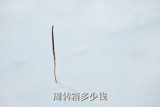 周轉(zhuǎn)箱多少錢