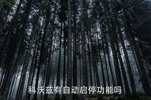 科沃茲有自動(dòng)啟停功能嗎