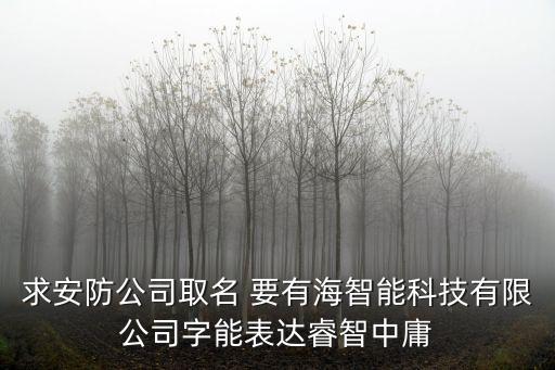 求安防公司取名 要有海智能科技有限公司字能表達睿智中庸