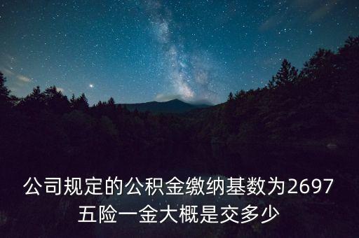 瀚川智能科技公積金交多少，公司規(guī)定的公積金繳納基數(shù)為2697五險一金大概是交多少