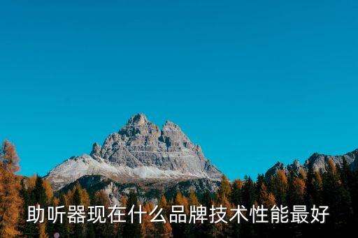 助聽器現(xiàn)在什么品牌技術(shù)性能最好
