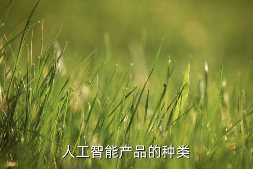 人工智能的科技產(chǎn)品有哪些，人工智能產(chǎn)品的種類