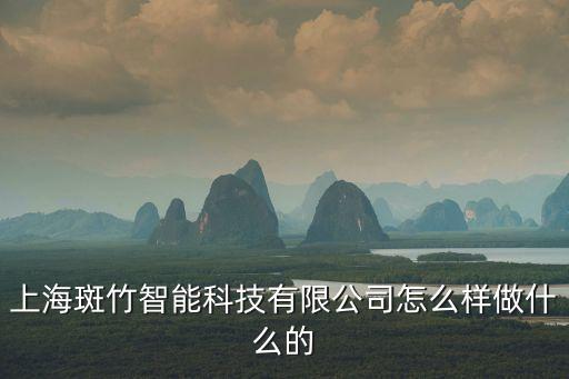 上海斑竹智能科技有限公司怎么樣做什么的