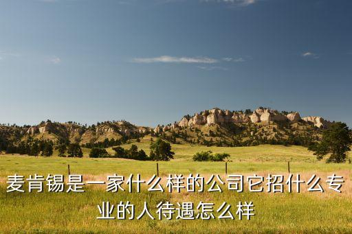 百勝智能科技如何樣，麥肯錫是一家什么樣的公司它招什么專業(yè)的人待遇怎么樣