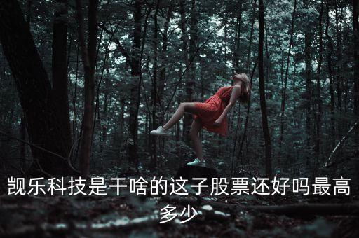 覬樂科技是干啥的這子股票還好嗎最高多少