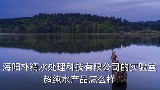海陽(yáng)智能科技公司有哪些，海陽(yáng)樸精水處理科技有限公司的實(shí)驗(yàn)室超純水產(chǎn)品怎么樣