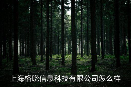 上海格曉信息科技有限公司怎么樣